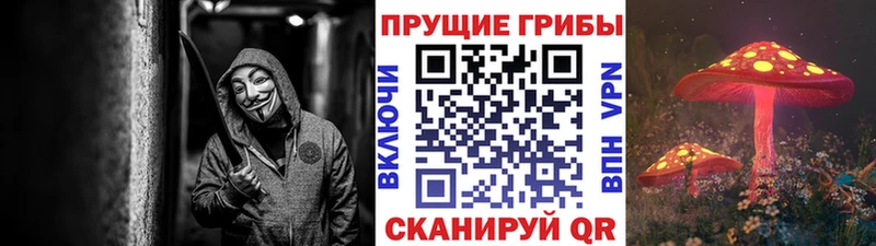 Псилоцибиновые грибы Psilocybe Советск